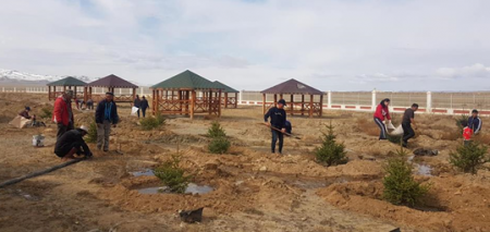 Алтай хотыг ногооруулах үйлсэд нутгийн зөвлөлийнхөн нэгдэж 4500 мод тарив